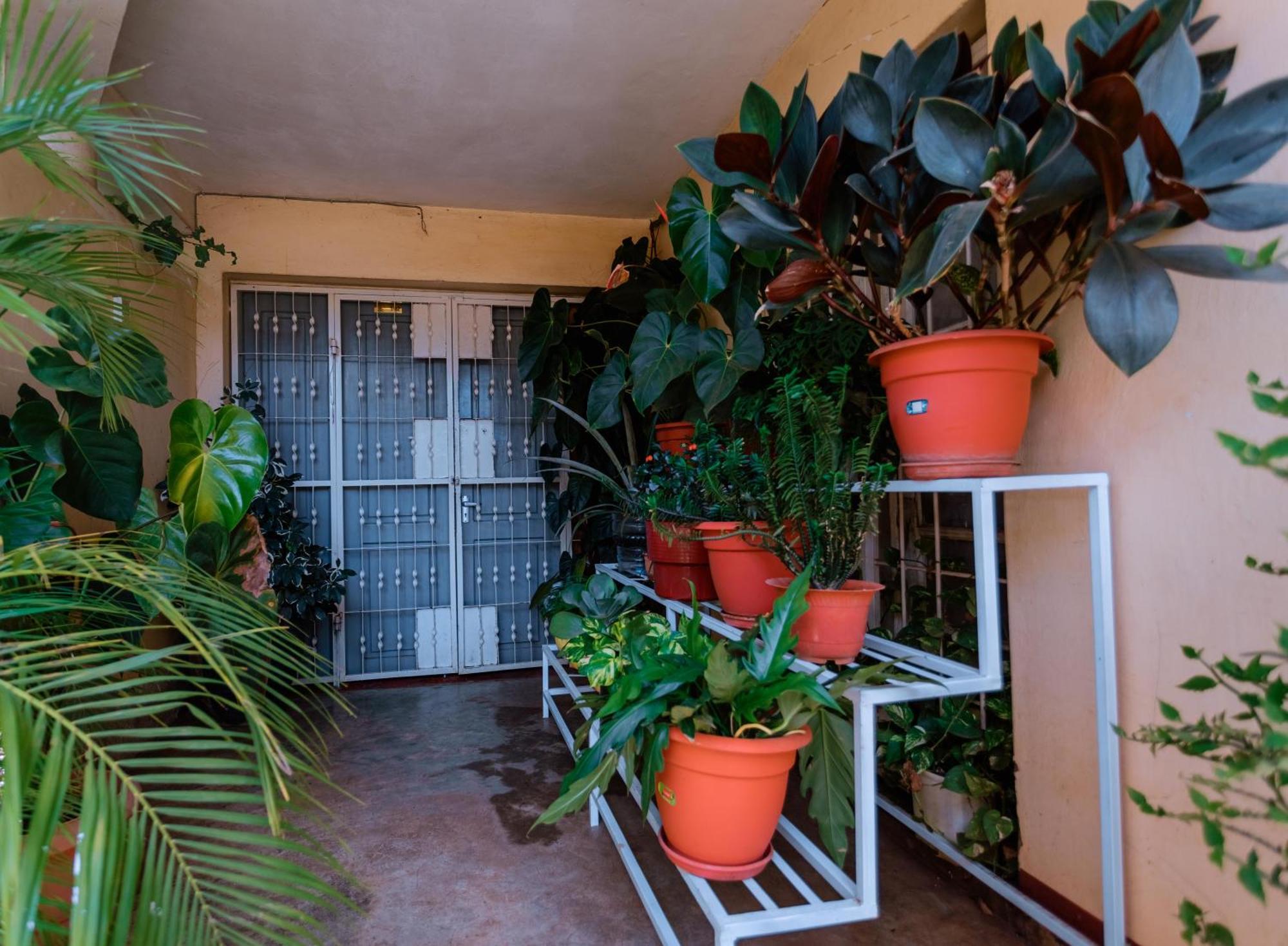 Faraja Homestay- Seamless Comfort In The Heart Of The City - Free Wifi, Warm Hospitality, And Local Delights Await Moshi Exteriér fotografie