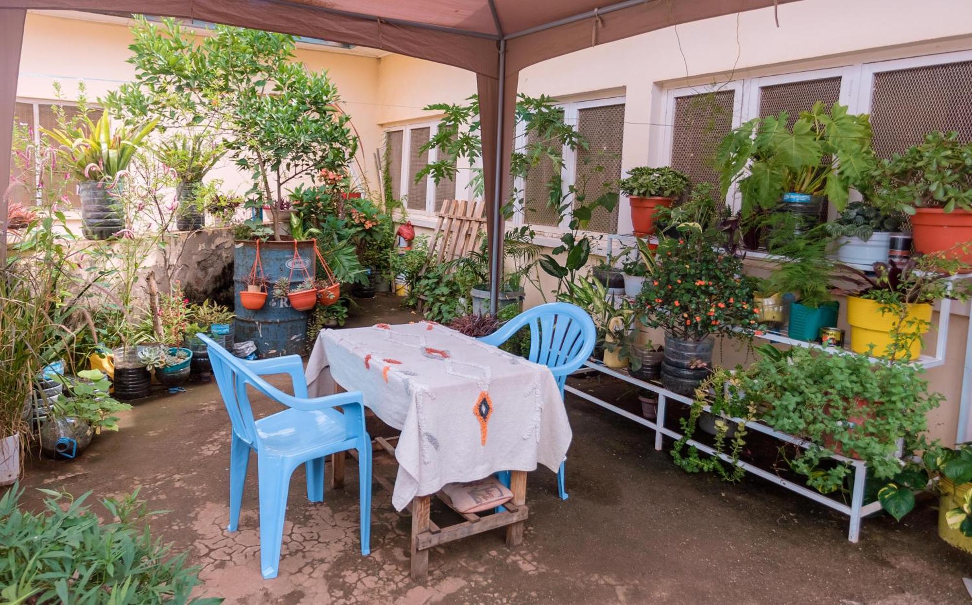 Faraja Homestay- Seamless Comfort In The Heart Of The City - Free Wifi, Warm Hospitality, And Local Delights Await Moshi Exteriér fotografie
